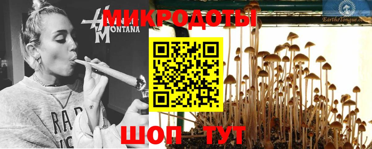 Галлюциногенные грибы Cubensis  Вход с VPN  Петрозаводск 
